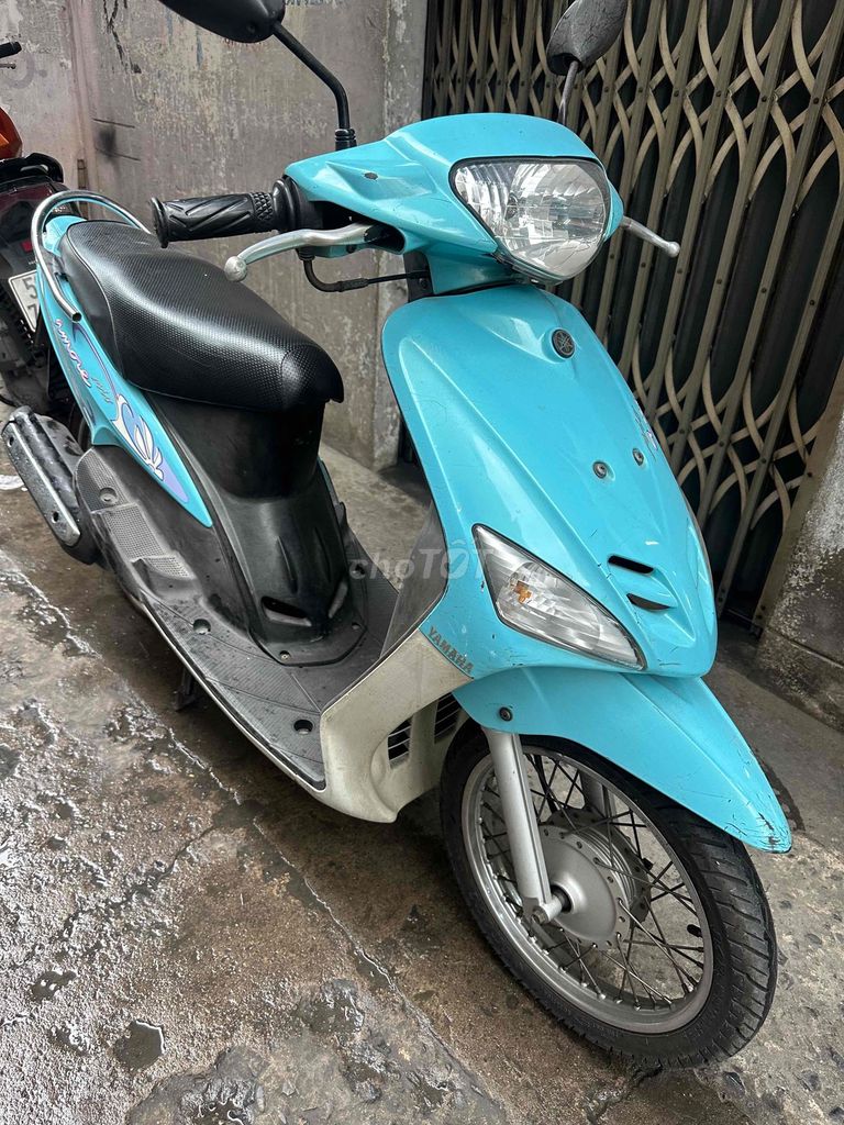 Mio 2005 - ảnh 2