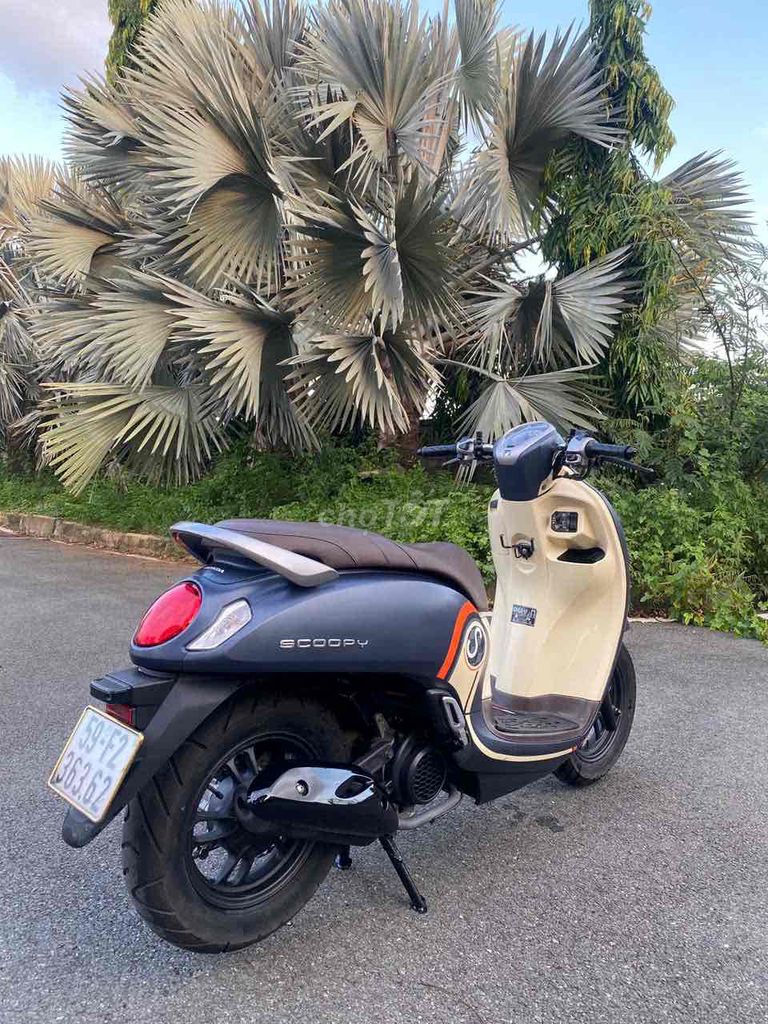 Honda Scoopy 2022 - ảnh 3