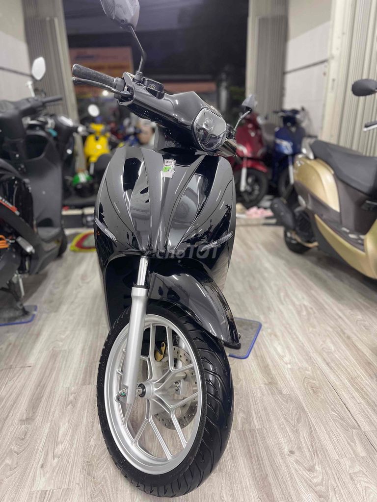Xe m 2025 - ảnh 1