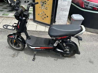 Xe m 2024 - ảnh 1