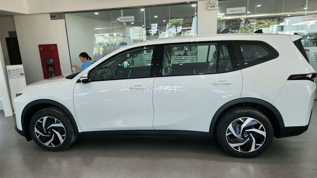 VinFast 2025 - ảnh 5