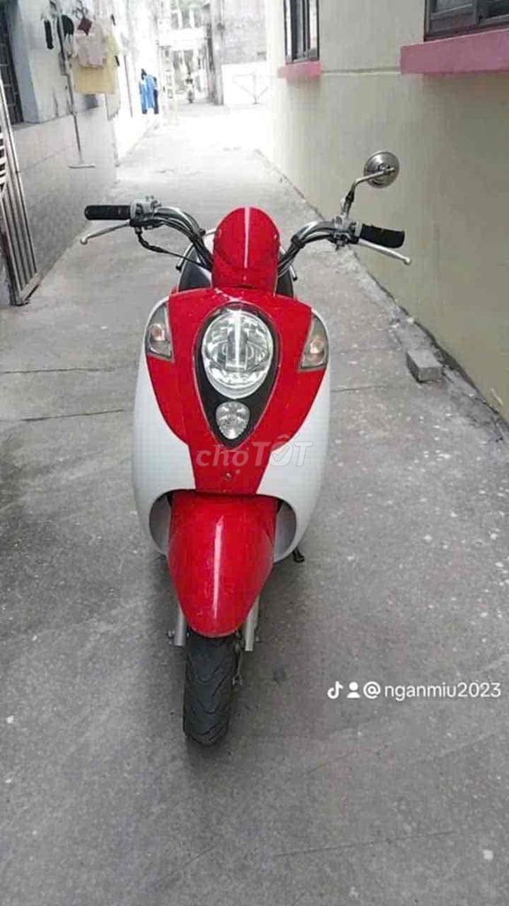 Honda Elite 2023 - ảnh 3