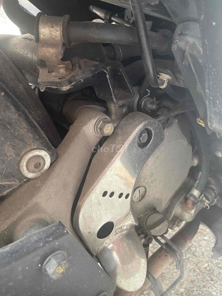 Honda 2008 - ảnh 5