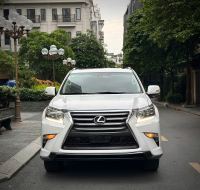 Lexus GX 460 2010 - ảnh 1
