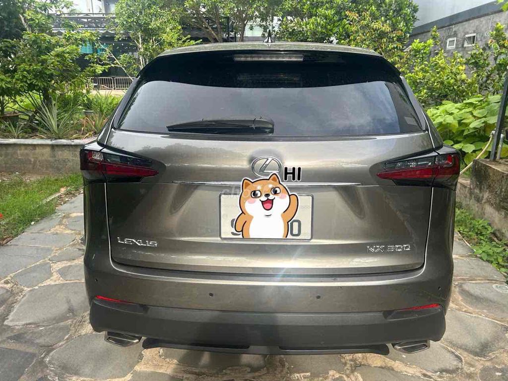 Lexus NX 2016 - ảnh 5