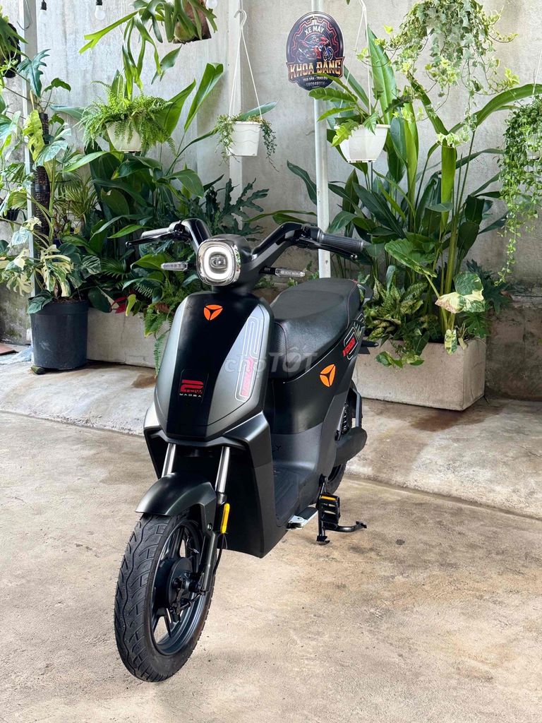 Xe m 2025 - ảnh 1
