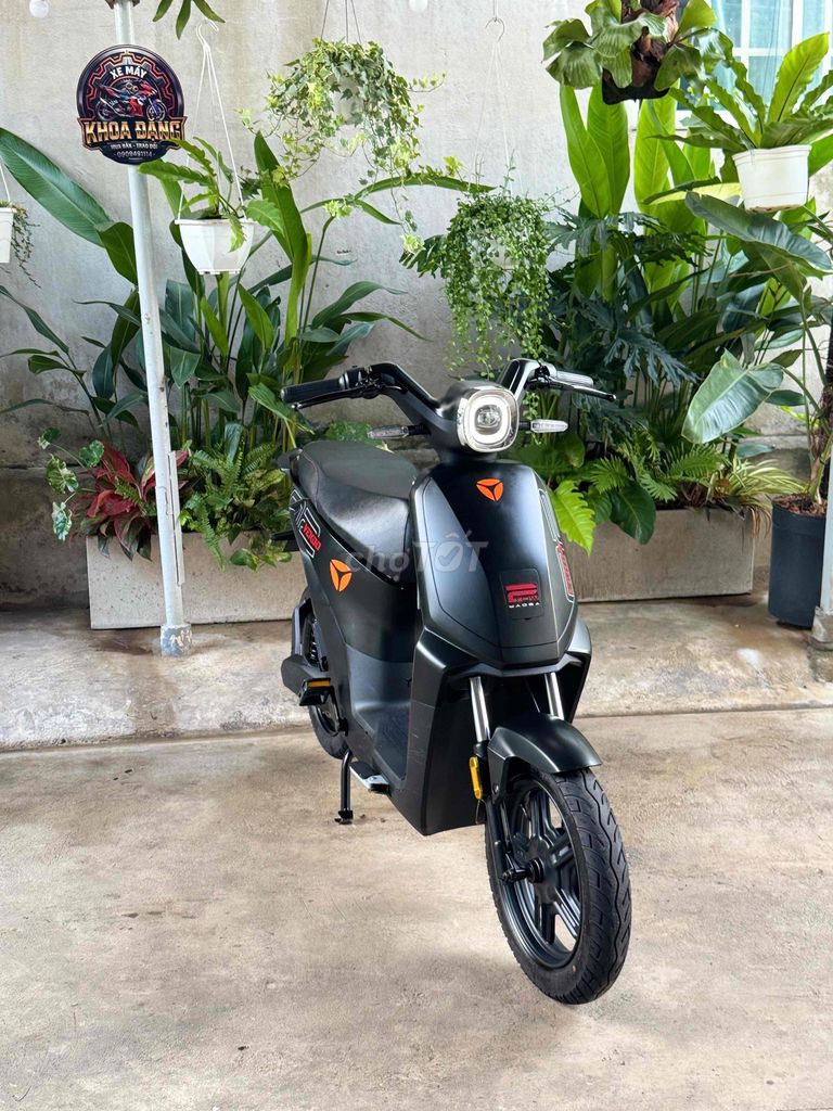 Xe m 2025 - ảnh 2