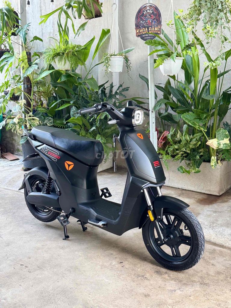 Xe m 2025 - ảnh 4