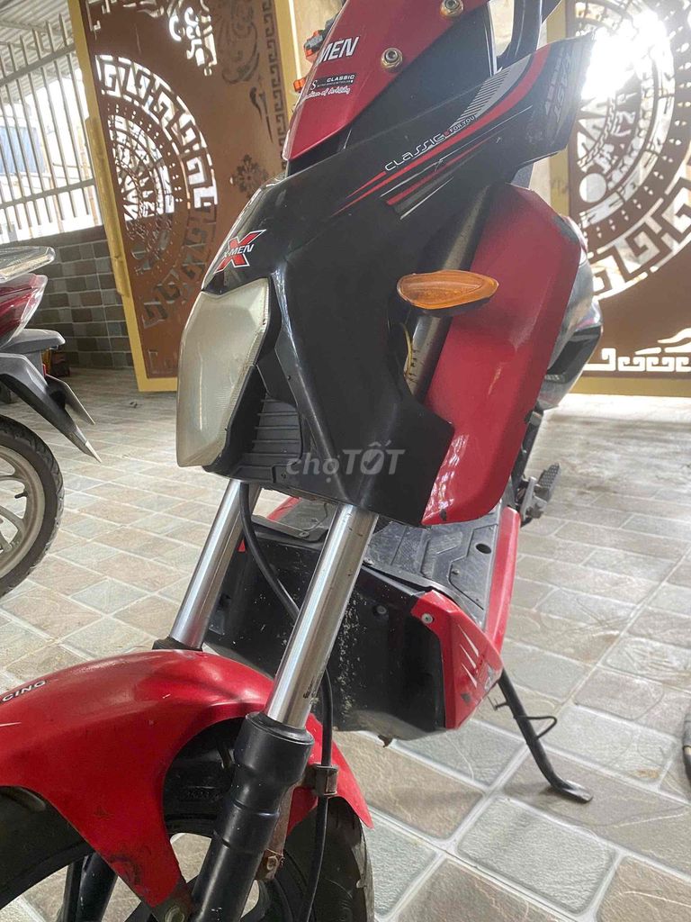 Xe m 2010 - ảnh 1