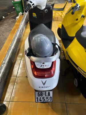 Xe m 2025 - ảnh 1