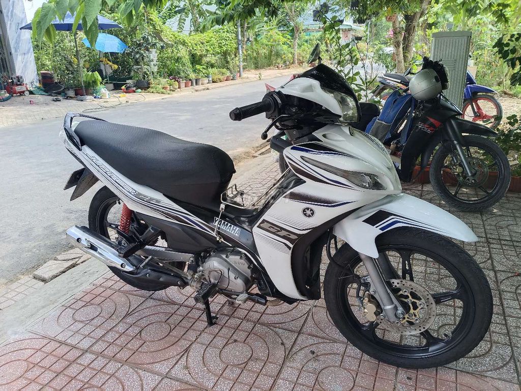Yamaha - ảnh 2