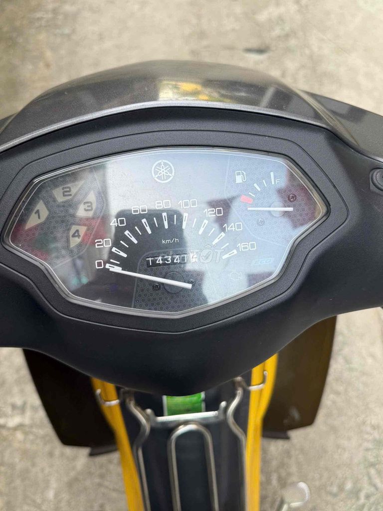Thanh l 2023 - ảnh 5