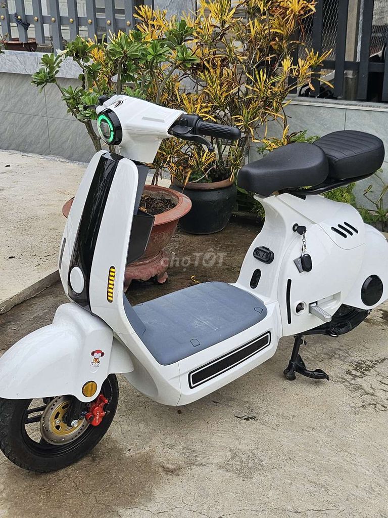 Xe 2025 - ảnh 1