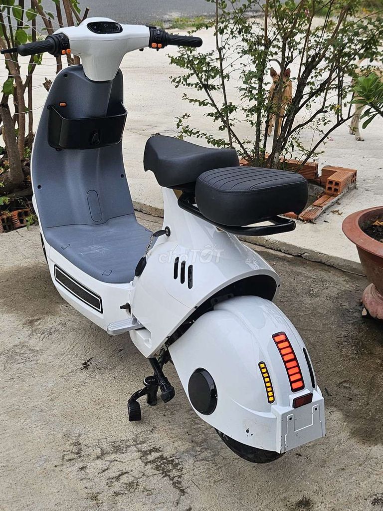 Xe 2025 - ảnh 3