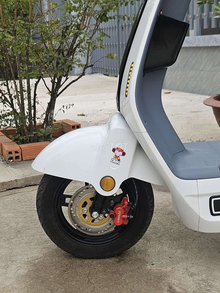 Xe 2025 - ảnh 4