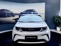 BYD Dolphin 2026 - ảnh 1