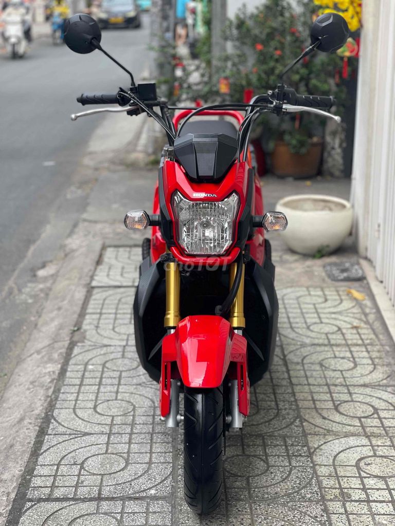 Honda Zoomer 2018 - ảnh 2