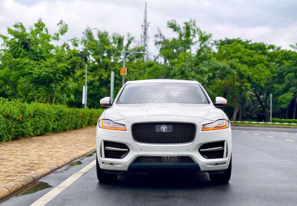 Jaguar 2019 - ảnh 1
