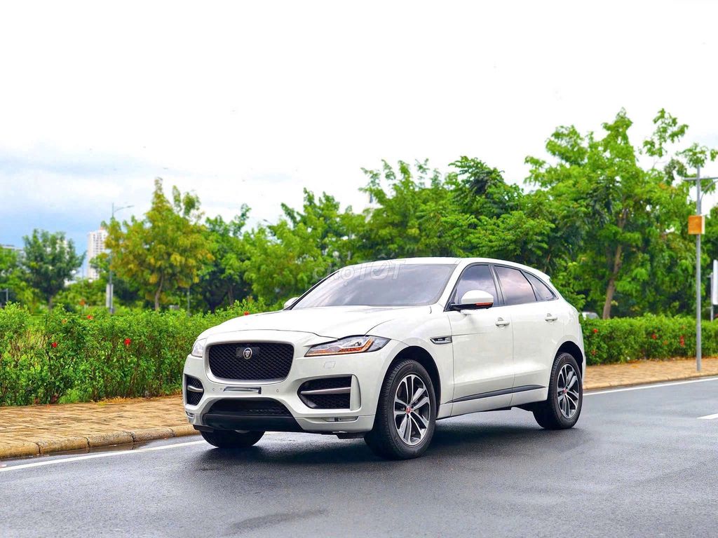 Jaguar 2019 - ảnh 2