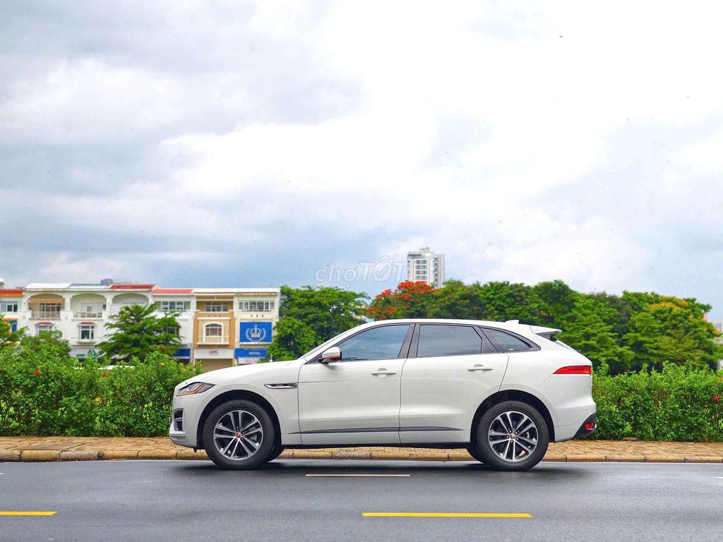 Jaguar 2019 - ảnh 3
