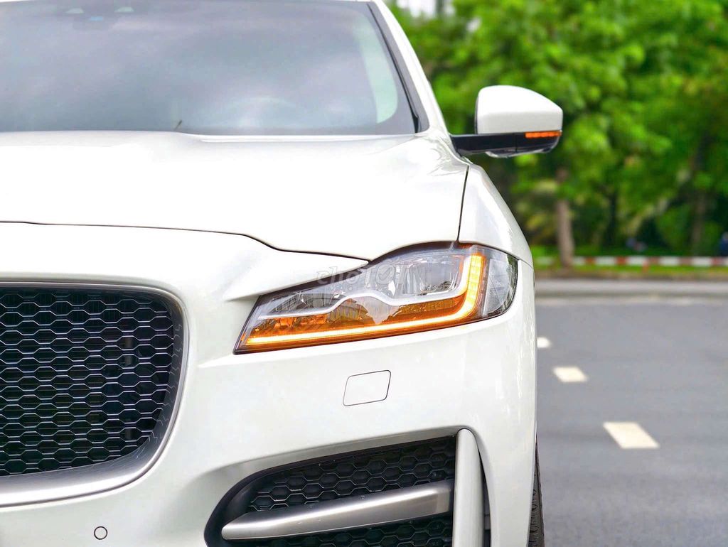 Jaguar 2019 - ảnh 4