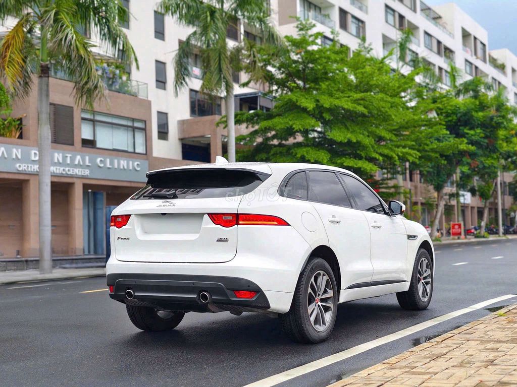 Jaguar 2019 - ảnh 5