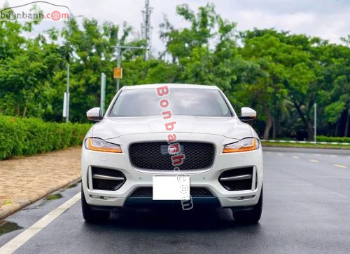 Jaguar 2020 - ảnh 1
