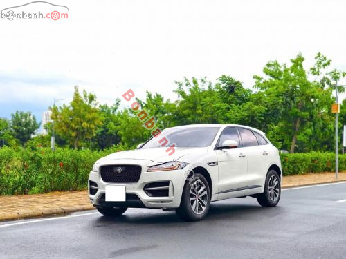 Jaguar 2020 - ảnh 2
