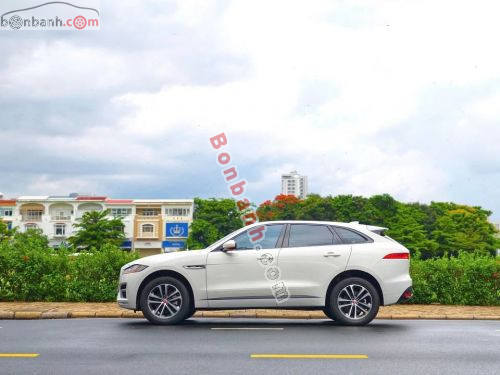 Jaguar 2020 - ảnh 3