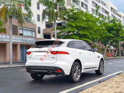Jaguar 2020 - ảnh 4