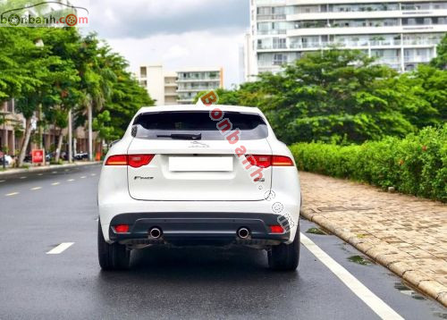 Jaguar 2020 - ảnh 5