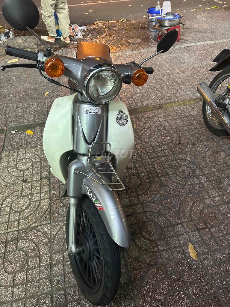 Cub 2005 - ảnh 2