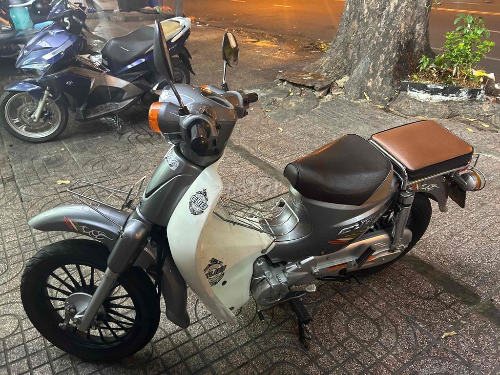 Cub 2005 - ảnh 3