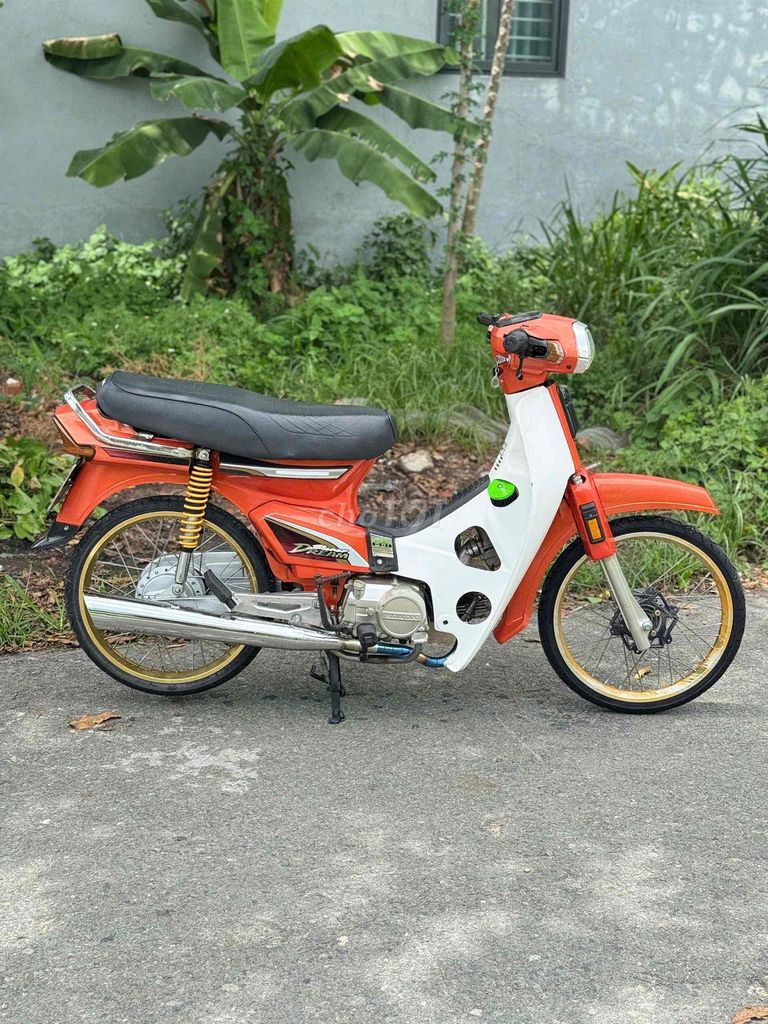 Honda Dream 2004 - ảnh 5
