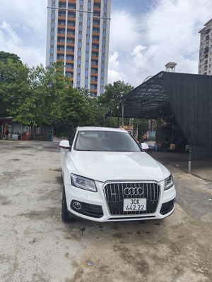 Audi Q5 2013 - ảnh 1