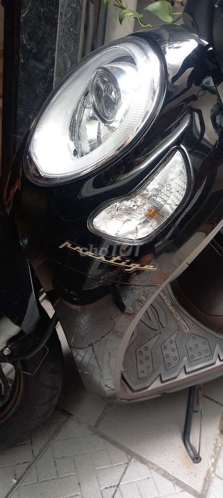 Honda Scoopy 2023 - ảnh 4