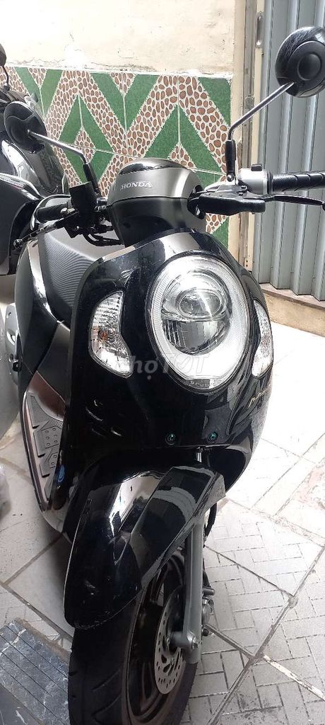 Honda Scoopy 2023 - ảnh 5