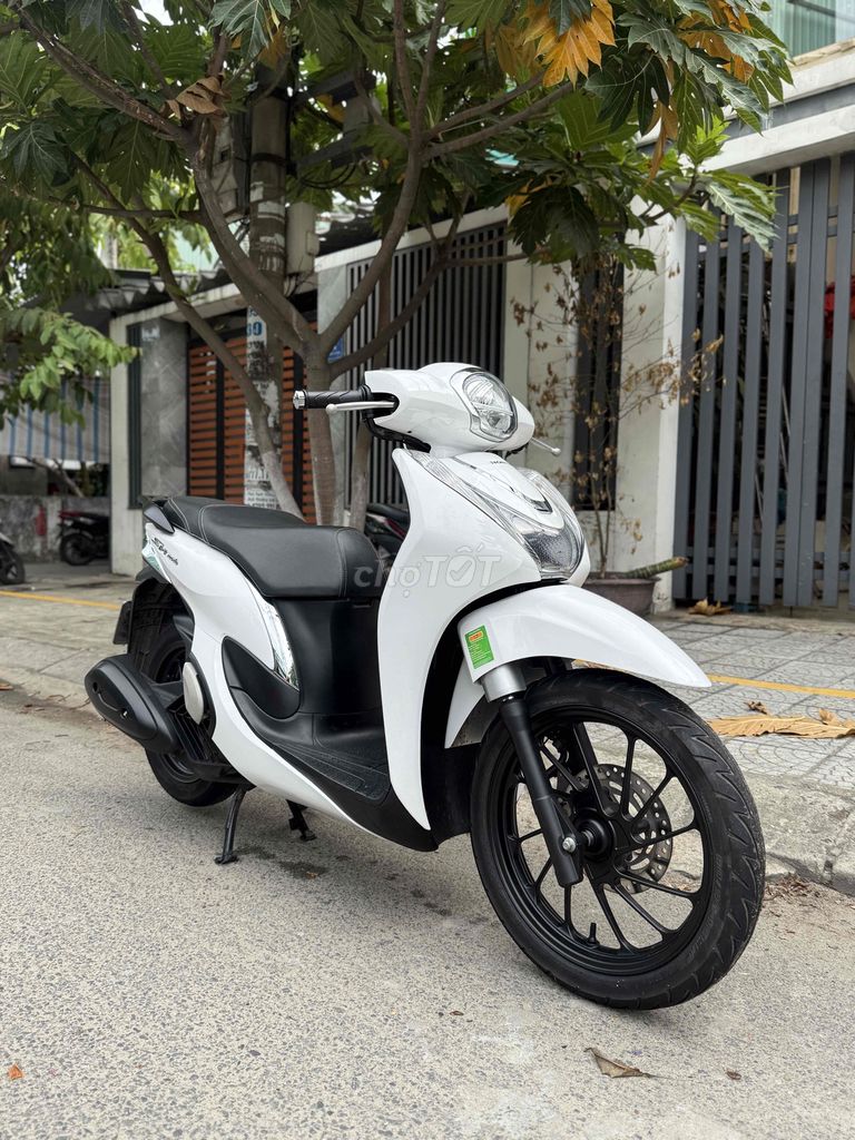 SH Mode 2024 - ảnh 3