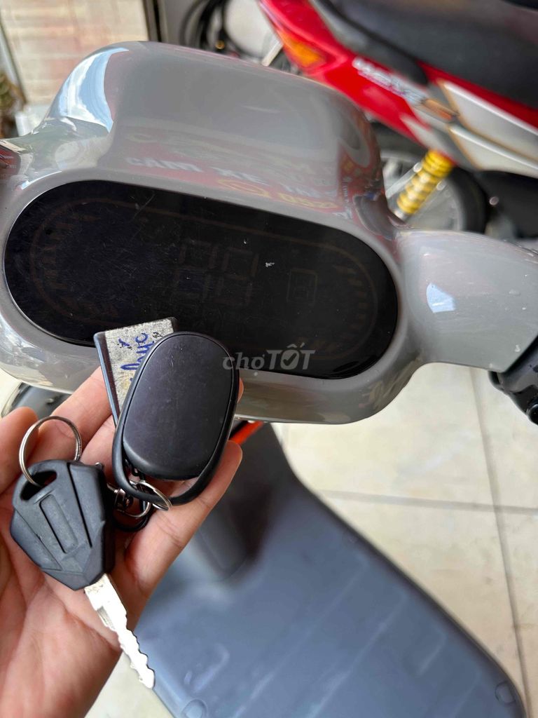 Xe 2024 - ảnh 3