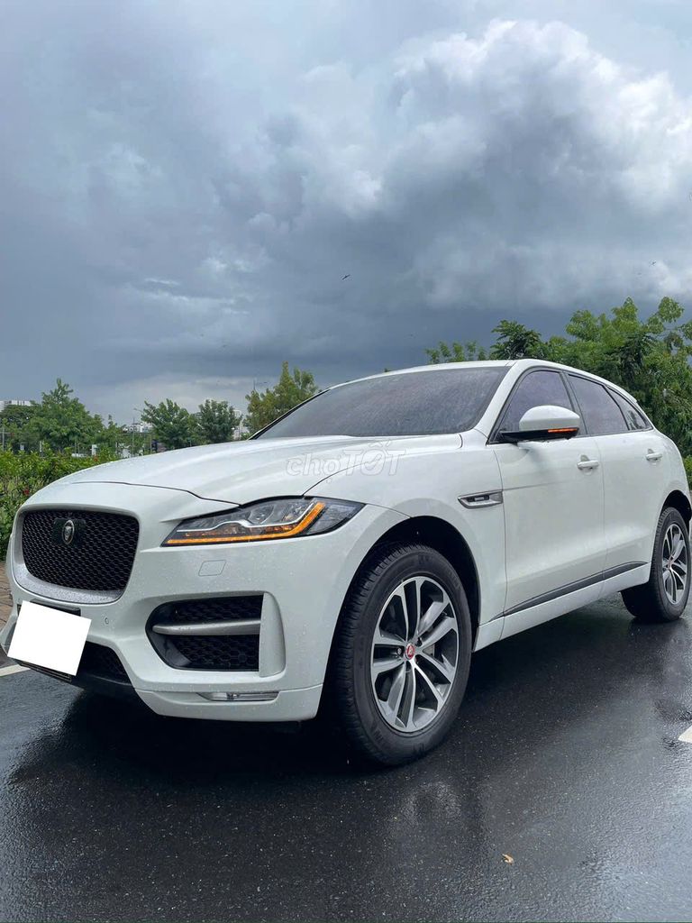 Jaguar 2020 - ảnh 2