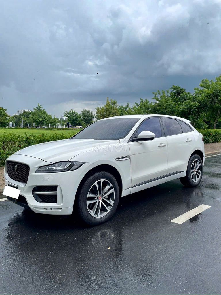 Jaguar 2020 - ảnh 5