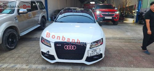Audi 2010 - ảnh 1