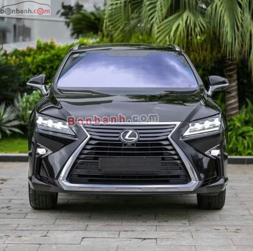 Lexus RX 300 2019 - ảnh 1