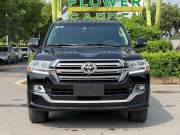 Toyota Land Cruiser 4.6 V8 2020 - ảnh 1