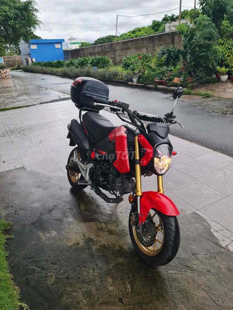 Honda MSX 2016 - ảnh 1