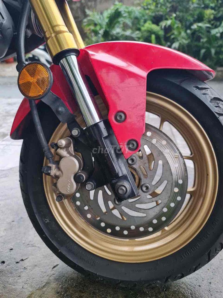 Honda MSX 2016 - ảnh 2