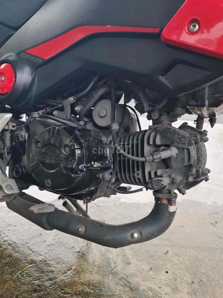 Honda MSX 2016 - ảnh 3