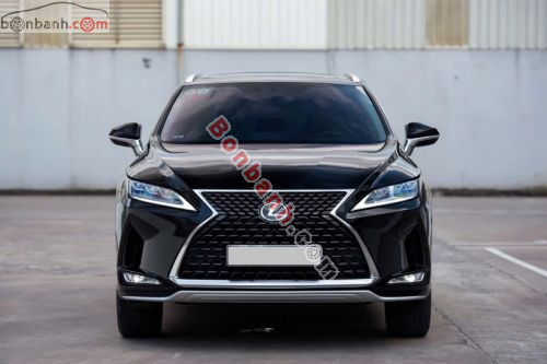 Lexus RX 300 2019 - ảnh 1