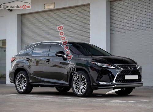 Lexus RX 300 2019 - ảnh 3