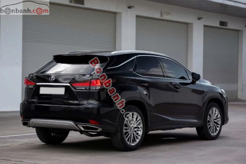 Lexus RX 300 2019 - ảnh 4